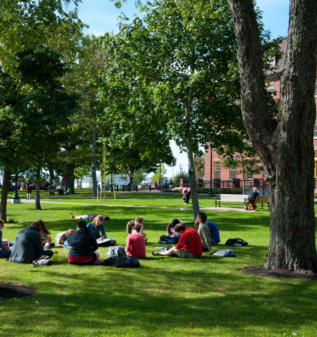 Students sitting on a circle in the UPEI Quad